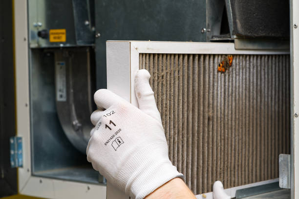 Best Ductwork Cleaning Services  in Edna, TX