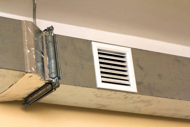 Air Duct Mold Removal in Edna, TX